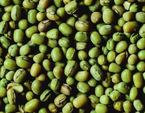 产品简介　　绿豆，又名植豆、文豆，英文名mung bean，greengram,属豆科(le